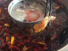 -金鼎雪山牦牛杂火锅(理县总店)