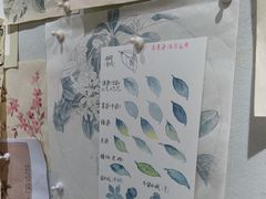 -八哥美术·成人美术画室(总校区)