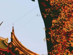 -上海青龙寺