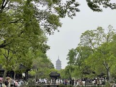 -拙政园