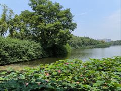 -成都南湖公园