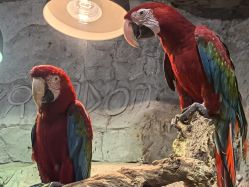 -Zoolung Zoolung动物主题公园(海信广场店)