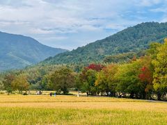 -塔川景区