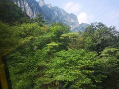 -秦岭天竺山景区