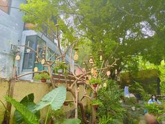 -火炉山森林公园