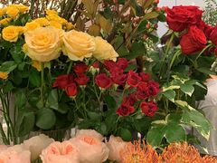 -Flannel Flowers(IFC)