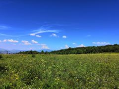 -白草畔自然风景区
