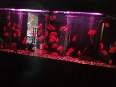 -大唐盲人按摩中心(黄山路店)