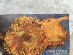 -重庆梵高星空艺术馆(解放碑旗舰店)