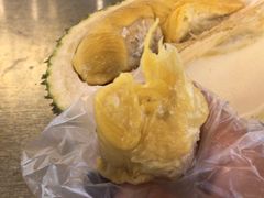 -都念榴莲·城市榴莲