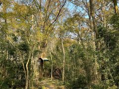 -WeLope紫金山探险公园
