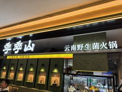-季季山•云南野生菌火锅(上海首店)