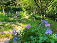 -南山植物园