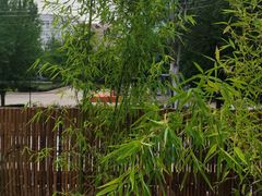 -羊门客在·烤盐池滩羊·川菜