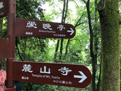 -MAMACHA妈妈茶(岳麓山店)