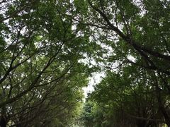 -广东外语外贸大学(白云山校区)