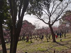 -无锡梅园公园