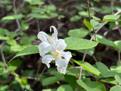 -昆嵛山石门里景区