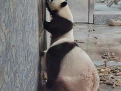 -西安秦岭野生动物园