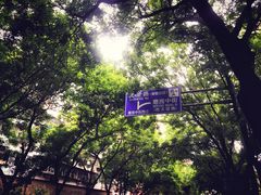 -马记伊源斋涮肉·清真菜(潘家园古玩市场店)