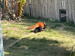 -泉州海丝野生动物世界