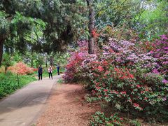 -昆明市金殿名胜区