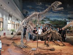-自贡恐龙博物馆