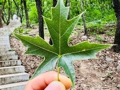 -沈阳辉山风景区
