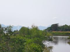 -深圳湾公园(南山区)