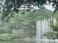 -广州莲花山旅游区