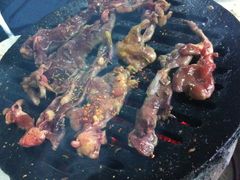 IMG_2029-大槐树烤肉馆