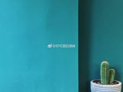 -So Acai(天河店)