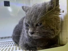 -沐沐家宠物(成寿寺店)