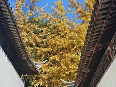 -西园戒幢律寺