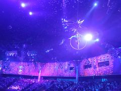 -珠海横琴长隆《卡卡虎奇遇记》