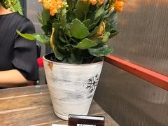 -萤火虫咖啡(砖著店)