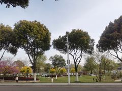 -羊山湖公园