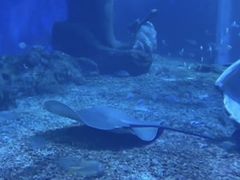 -多彩贵州城极地海洋世界