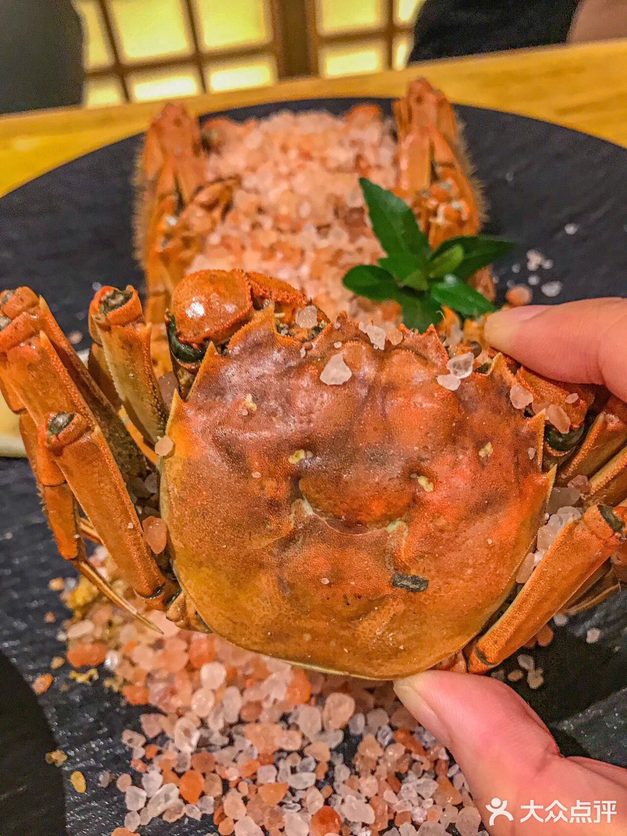 在隐食看世界杯👀炫大闸蟹🦀️就很快乐！！