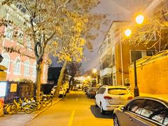 -天津五大道文化旅游区