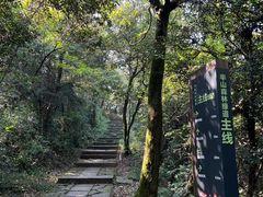 -杭州半山国家森林公园