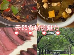 -缘生态云南菜·野生菌庭院餐厅(华侨城店)