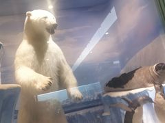 -国家自然博物馆