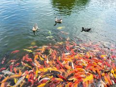 -常州花鸟园酒店(西太湖品牌优选店)