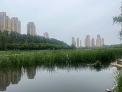 -前关湿地公园