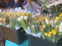 -循礼门鲜花花市(武汉循礼门店)