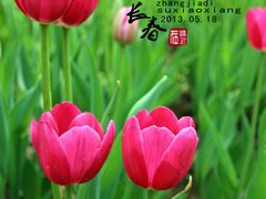 -长春公园(普阳街道)