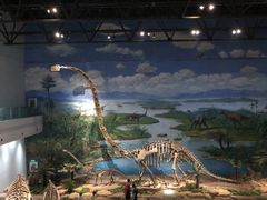 -自贡恐龙博物馆