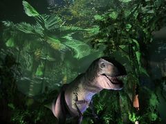 -广州长隆野生动物世界