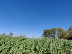 -永定河休闲森林公园